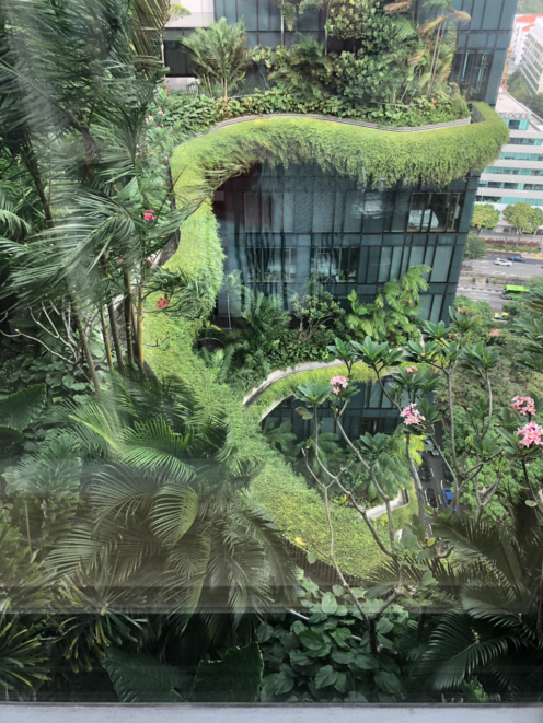 Urbanhouse360-Parkroyal-singapour