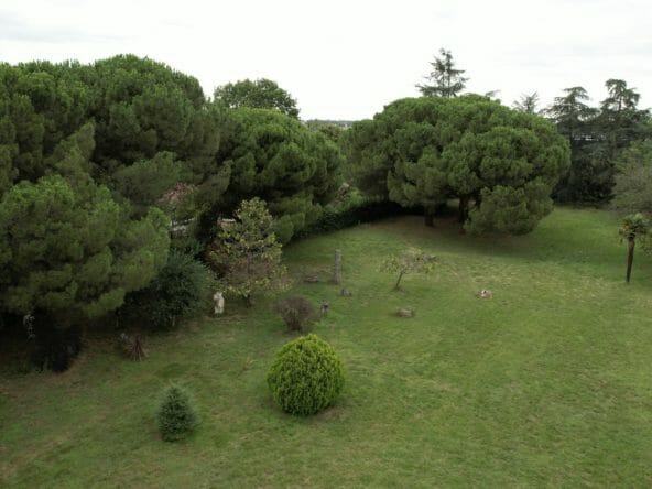 Plantaurel-Parc-arboré
