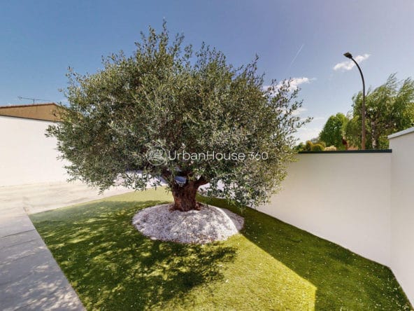 VILLA-STYLE-CALIFORNIEN-LARDENNE-Jardin-Olivier-Mineral
