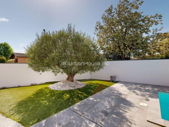 VILLA-STYLE-CALIFORNIEN-LARDENNE-Jardin-Olivier-Piscine