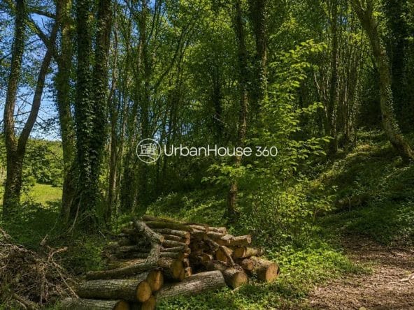 Gite-Dordogne-bois