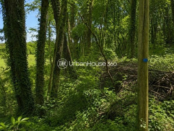 Gite-dordogne-bois2